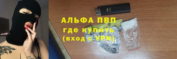 СК Алзамай