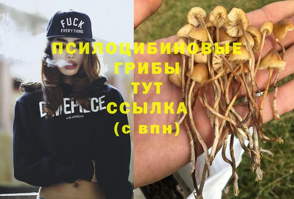 кокс Абдулино