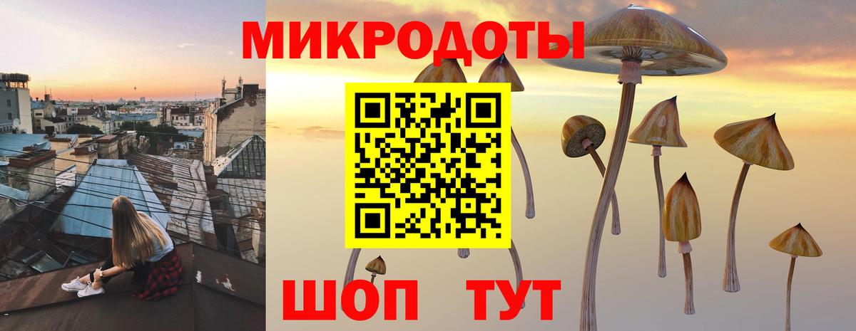 Губкин  Псилоцибиновые грибы GOLDEN TEACHER  Вход с VPN  Галлюциногенные грибы Cubensis 