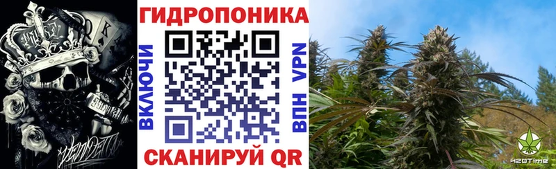 Шишки марихуана марихуана  kraken онион  Губкин 